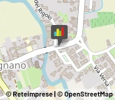 Pelli e Pellami - Produzione e Vendita,33078Pordenone