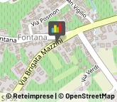 Ortofrutticoltura,31010Treviso