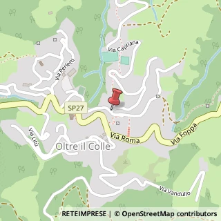 Mappa Via Capriana, 293, 24013 Oltre il Colle, Bergamo (Lombardia)