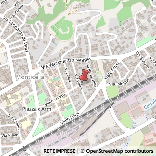 Mappa Via Udine, 31/A, 31015 Conegliano, Treviso (Veneto)