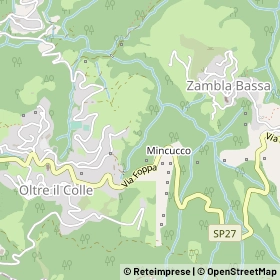 Mappa 24013