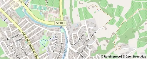 Mappa Conegliano
