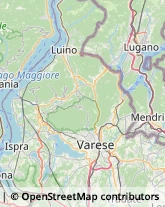 Vivai Piante e Fiori Barasso,21020Varese