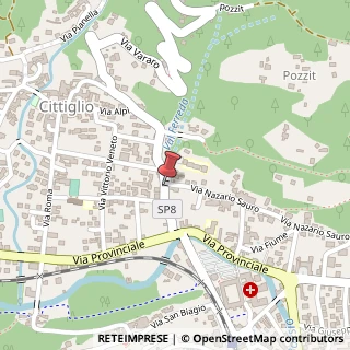 Mappa Via Giosuè Carducci, 37, 21033 Cittiglio, Varese (Lombardia)