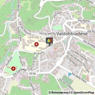 Agopuntura Valdobbiadene,31049Treviso