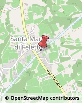 Via Monte Grappa, 3,31020San Pietro di Feletto