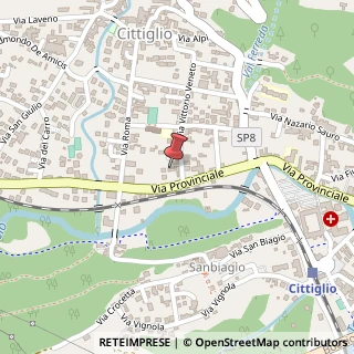 Mappa Via Provinciale, 124, 21033 Cittiglio, Varese (Lombardia)