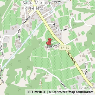 Mappa Via Luciani Albino, 16a, 31020 San Pietro di Feletto, Treviso (Veneto)