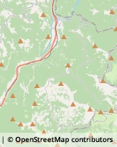 Locali, Birrerie e Pub Cismon del Grappa,36020Vicenza