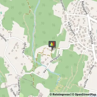 Vivai Piante e Fiori,21014Verbano-Cusio-Ossola