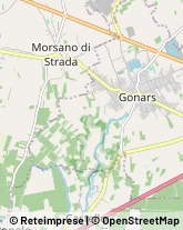 Autotrasporti Gonars,33050Udine