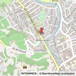 Mappa Via Immacolata di Lourdes,  30, 31015 Conegliano, Treviso (Veneto)