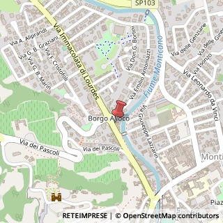 Mappa Via Immacolata di Lourdes, 10, 31015 Conegliano, Treviso (Veneto)