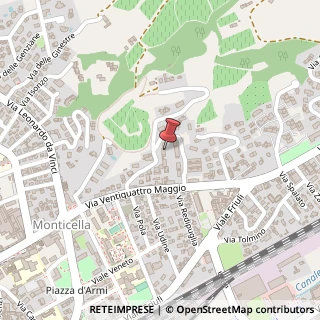 Mappa Via F. Molena, 9/A, 31015 Conegliano, Treviso (Veneto)