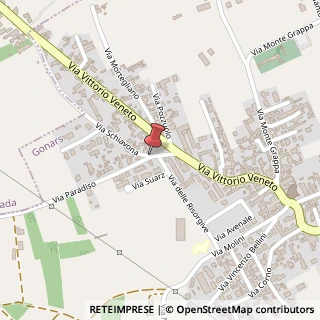 Mappa Via Schiavona,  2, 33050 Gonars, Udine (Friuli-Venezia Giulia)