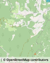 Onoranze e Pompe Funebri Primaluna,23819Lecco