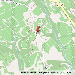 Mappa Via dei Colli, 76, 31015 Conegliano TV, Italia, 31015 Conegliano, Treviso (Veneto)
