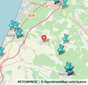 Mappa Str. Prov. Gioia Tauro - Rizziconi Cittanova, 89016 Rizziconi RC, Italia (6.79529)