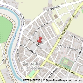 Mappa Via Valnemorosa, 8, 41033 Concordia sulla Secchia, Modena (Emilia Romagna)