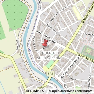 Mappa Viale Giuseppe Garibaldi, 10, 41033 Concordia sulla Secchia, Modena (Emilia Romagna)
