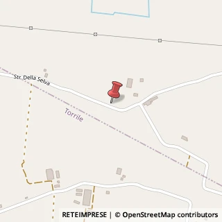 Mappa Strada della Selva, 4, 43056 Torrile, Parma (Emilia Romagna)