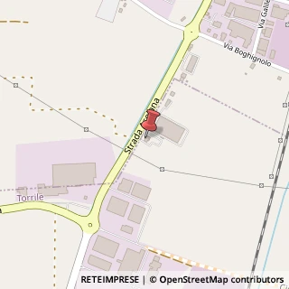 Mappa Strada Provinciale 343 Asolana, 98, 43056 Torrile, Parma (Emilia Romagna)