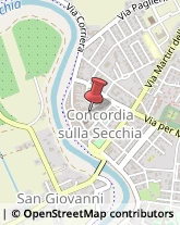 Viale Giuseppe Garibaldi, 10,41033Concordia sulla Secchia