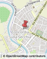 Piazza Roma, 1,41033Concordia sulla Secchia