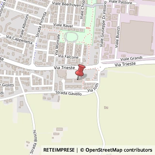 Mappa Piazza Artioli Lidio, 18, 42046 Reggiolo, Reggio nell'Emilia (Emilia Romagna)