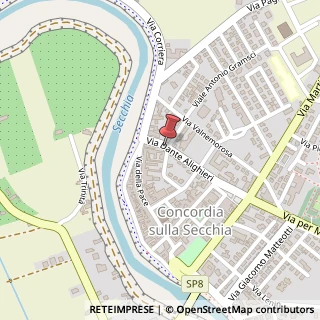 Mappa Viale Dante Alighieri, 10, 41033 Concordia sulla Secchia, Modena (Emilia Romagna)
