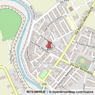 Mappa Viale Dante Alighieri, 13, 41033 Concordia sulla Secchia, Modena (Emilia Romagna)