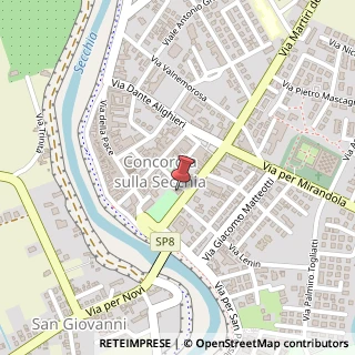 Mappa Via Carducci, 3, 41033 Concordia sulla Secchia, Modena (Emilia Romagna)
