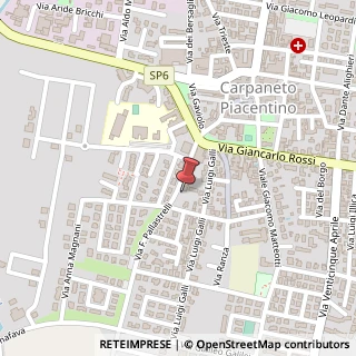Mappa Via Pallastrelli, 35, 29013 Carpaneto Piacentino, Piacenza (Emilia Romagna)