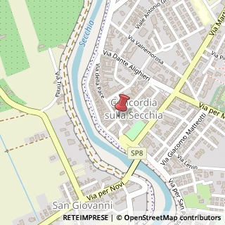 Mappa Via Mazzini, 8, 41016 Novi di Modena, Modena (Emilia Romagna)