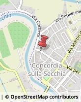 Viale Dante Alighieri, 10,41033Concordia sulla Secchia