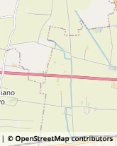 Trasporto Pubblico Tortona,15057Alessandria