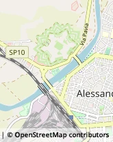 Aziende Agricole Alessandria,15100Alessandria