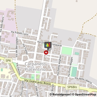 Ambulatori e Consultori Carpaneto Piacentino,29013Piacenza