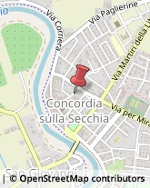 Viale Giuseppe Garibaldi, 20,41033Concordia sulla Secchia