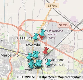Mappa Zona Industriale A.S.I., 81032 Carinaro CE, Italia (2.432)