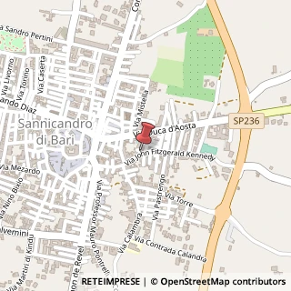 Mappa Via Kennedy, 67, 70028 Sannicandro di Bari, Bari (Puglia)