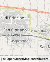 Aziende Agricole San Cipriano d'Aversa,81036Caserta