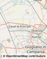 Aziende Agricole San Marcellino,81030Caserta