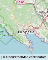 Commercialisti Riccò del Golfo di Spezia,19020La Spezia