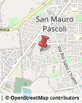 Via dei Tigli, 15,47030San Mauro Pascoli