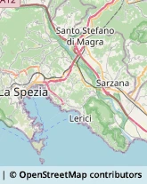 Tappezzieri La Spezia,19123La Spezia