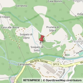 Mappa Località scepato di sotto, 17h, 55032 Castelnuovo di Garfagnana, Lucca (Toscana)