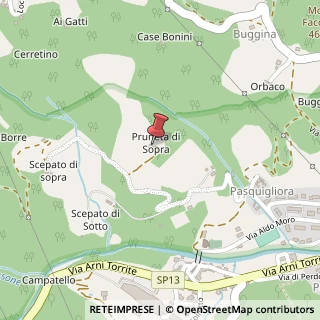 Mappa Via San Vito, 13/b, 55032 Castelnuovo di Garfagnana, Lucca (Toscana)