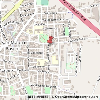 Mappa Via Palmiro Togliatti,  8, 47030 San Mauro Pascoli, Forlì-Cesena (Emilia Romagna)