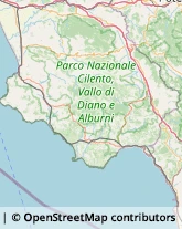 Enoteche Vallo della Lucania,84078Salerno